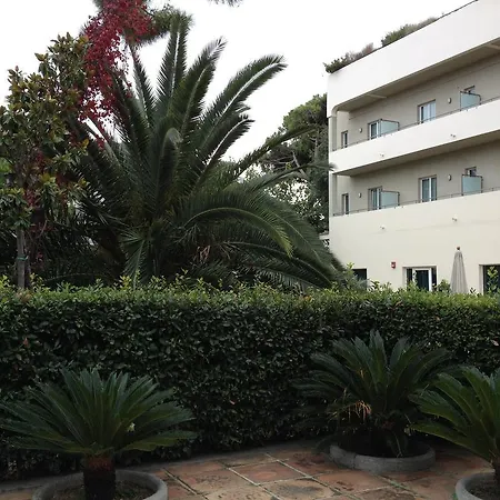 Phi Hotel Alcione-3